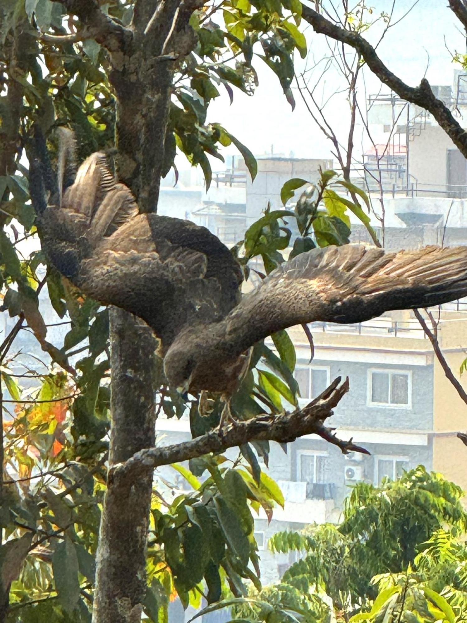 Homeland Forest Villa Pokhara Exterior foto