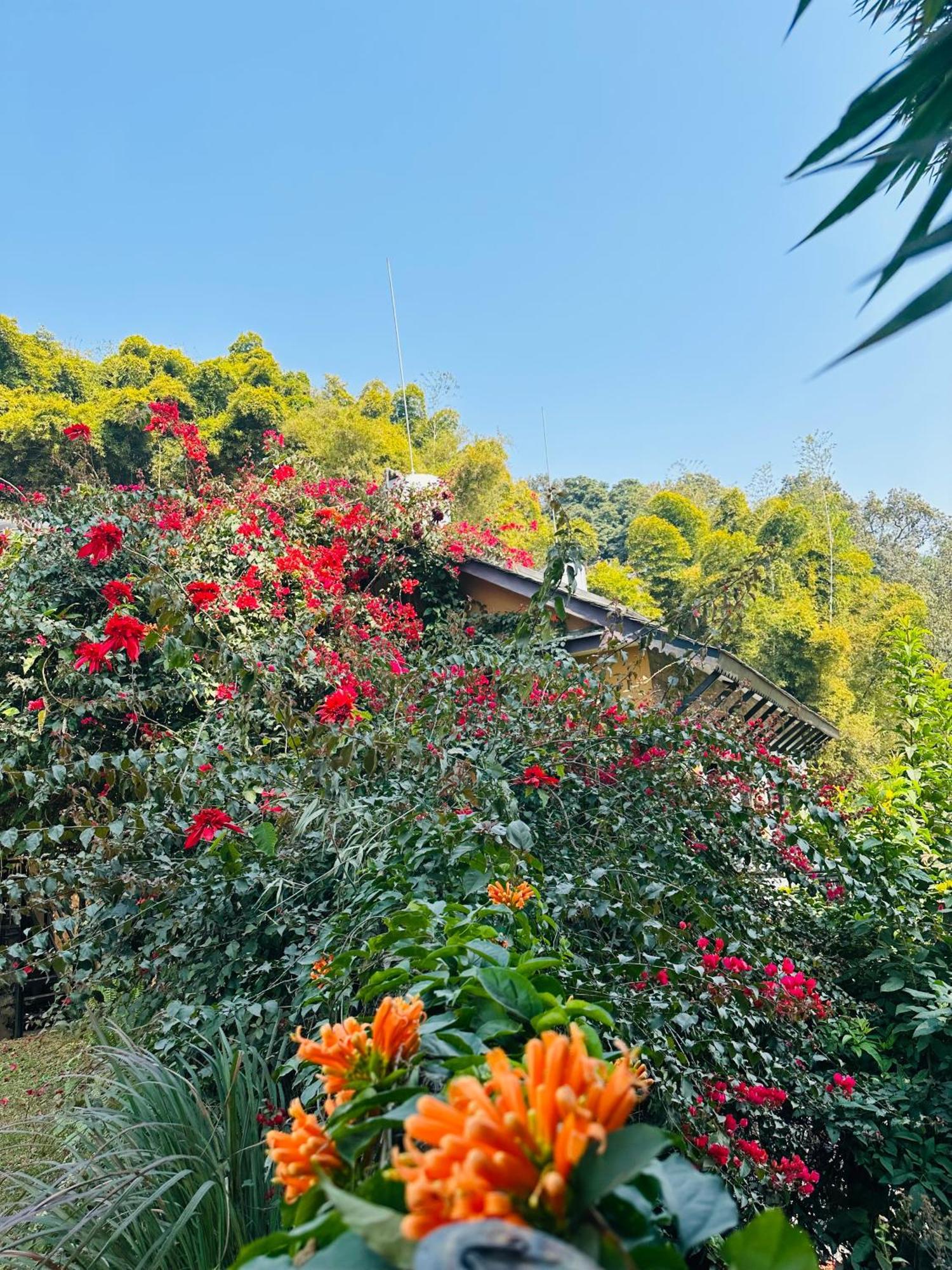 Homeland Forest Villa Pokhara Exterior foto