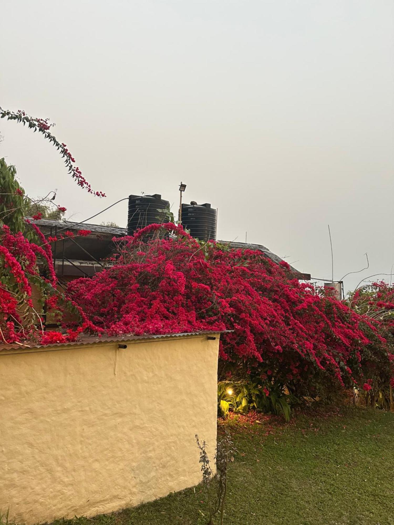 Homeland Forest Villa Pokhara Exterior foto